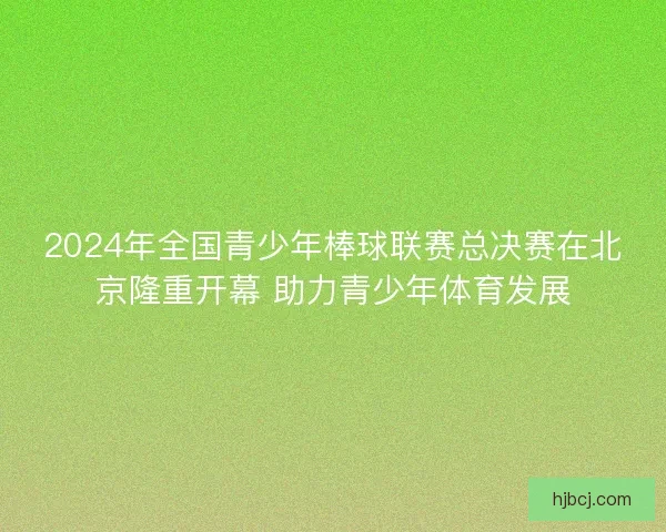 2024年全国青少年棒球联赛总决赛在北京隆重开幕 助力青少年体育发展 2024年全国青少年棒球联赛总决赛在北京隆重开幕 助力青少年体育发展